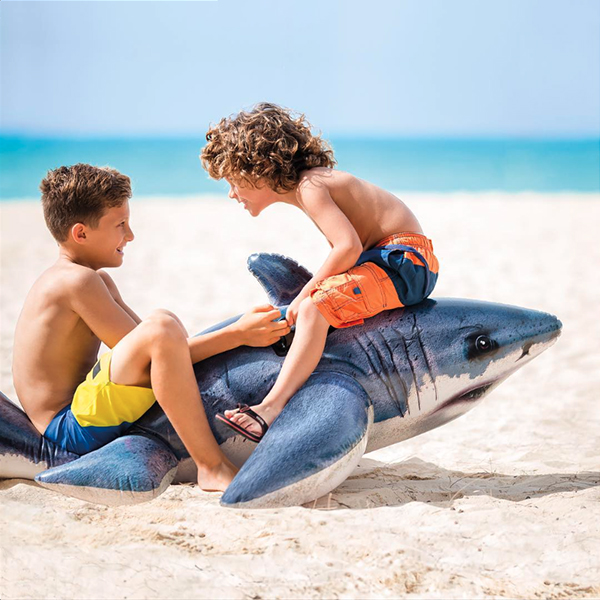 two boys sitting on a shark float at the beach