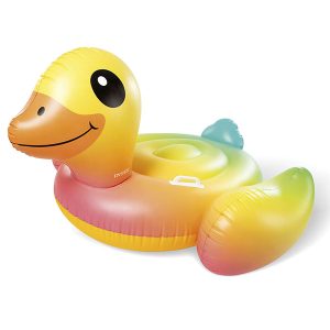 colorful duck floatie