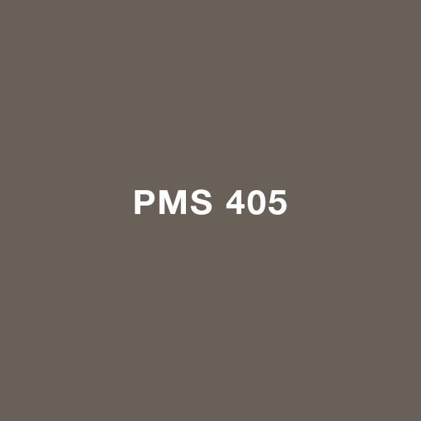 Pantone 405 Gray
